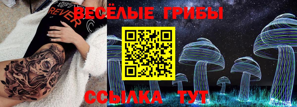 Псилоцибиновые грибы Psilocybine cubensis Ступино